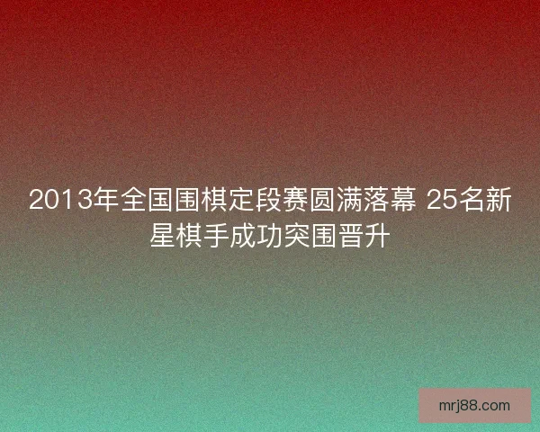 2013年全国围棋定段赛圆满落幕 25名新星棋手成功突围晋升