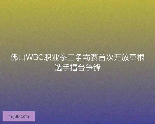 佛山WBC职业拳王争霸赛首次开放草根选手擂台争锋