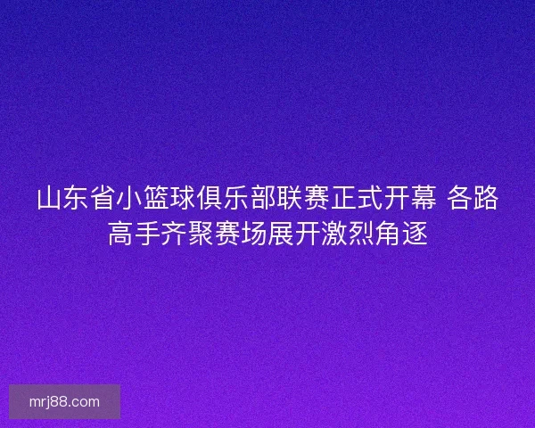 山东省小篮球俱乐部联赛正式开幕 各路高手齐聚赛场展开激烈角逐