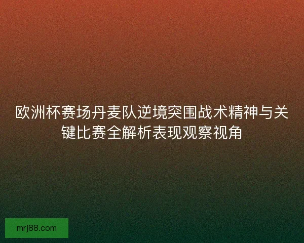 欧洲杯赛场丹麦队逆境突围战术精神与关键比赛全解析表现观察视角