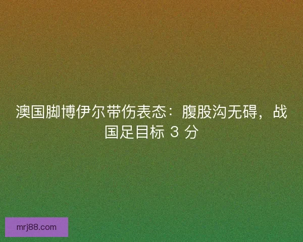 澳国脚博伊尔带伤表态：腹股沟无碍，战国足目标 3 分